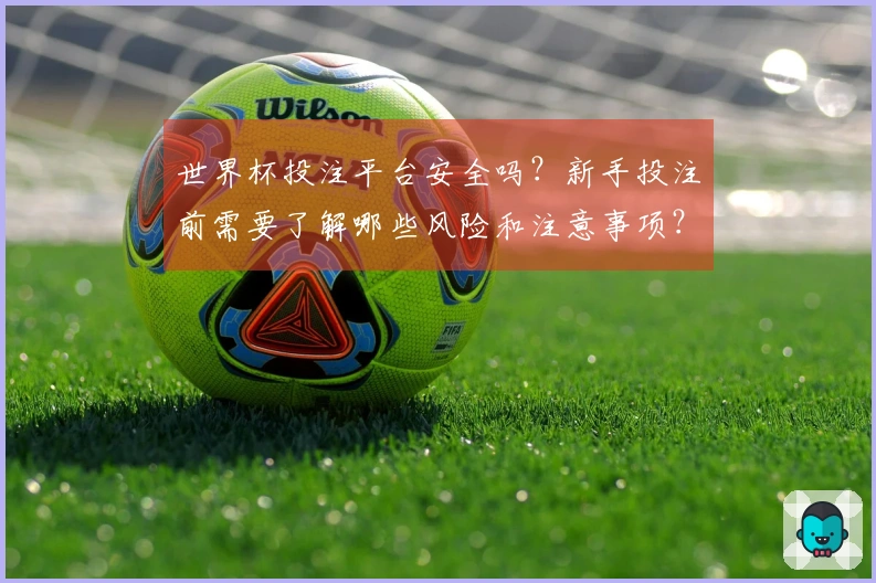 世界杯投注平台安全吗？新手投注前需要了解哪些风险和注意事项？