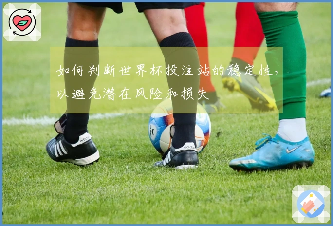 如何判断世界杯投注站的稳定性，以避免潜在风险和损失