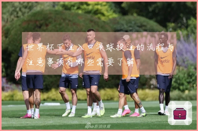 世界杯下注入口滚球投注的流程与注意事项有哪些需要了解