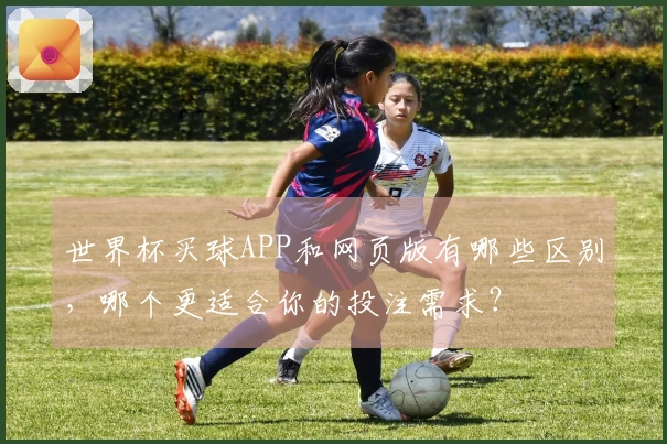 世界杯买球APP和网页版有哪些区别，哪个更适合你的投注需求？