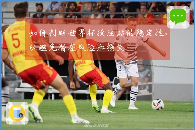 如何判断世界杯投注站的稳定性，以避免潜在风险和损失