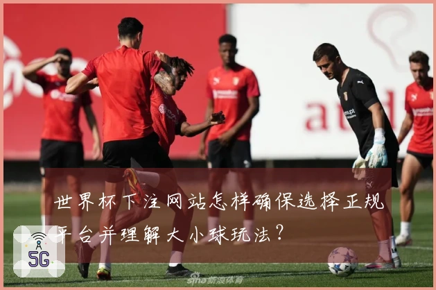 世界杯下注网站怎样确保选择正规平台并理解大小球玩法？